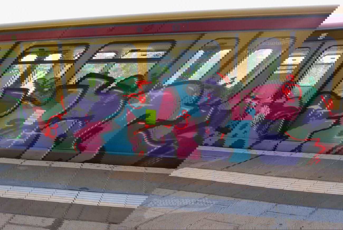 Graffiti Train - Photo by trainsporting - berlin, fear, rats