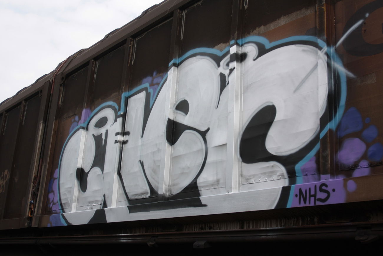 Graffiti Train - Photo by triebkopf98 - freight, chec (2016)