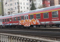 Photo #156596 by bocat