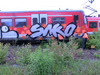 Graffiti Train - Photo by trip - HZ