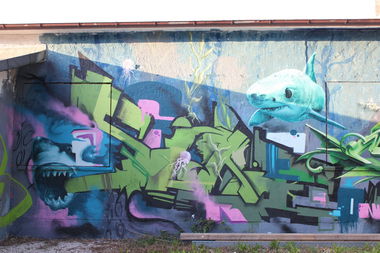 Graffiti Wall - Photo by trip - sake, hz