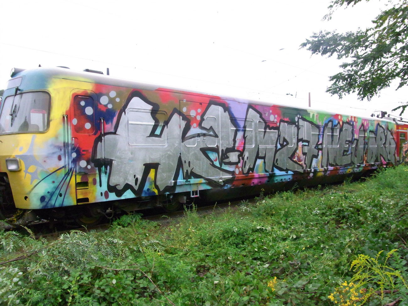 Graffiti Train - Photo by trip - HZ