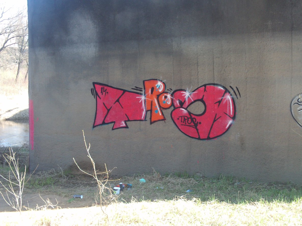 Graffiti Bombing in Polatsk - Photo by tros - tros (2014)