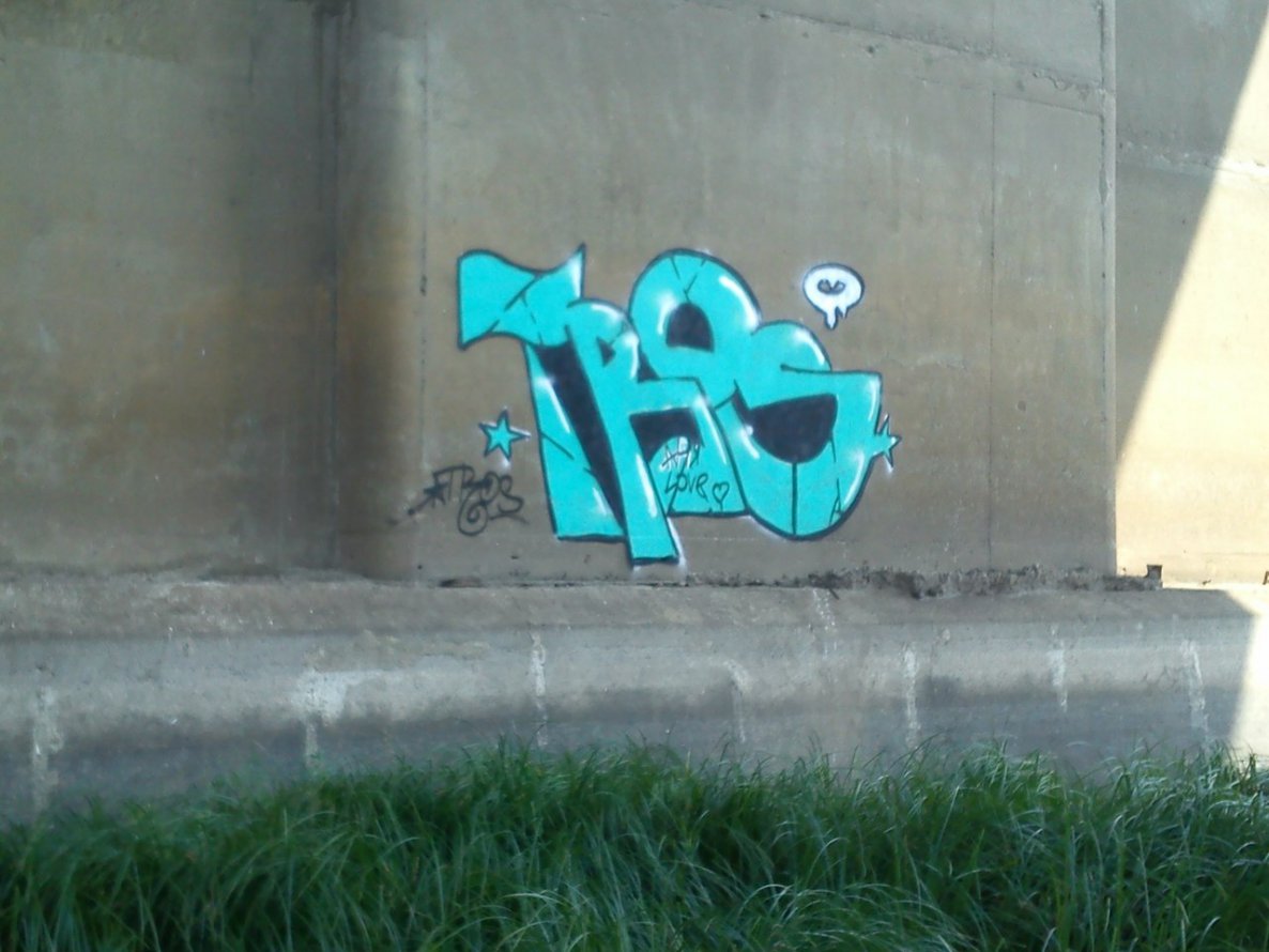 Graffiti Bombing in Polatsk - Photo by tros - tros (2014)