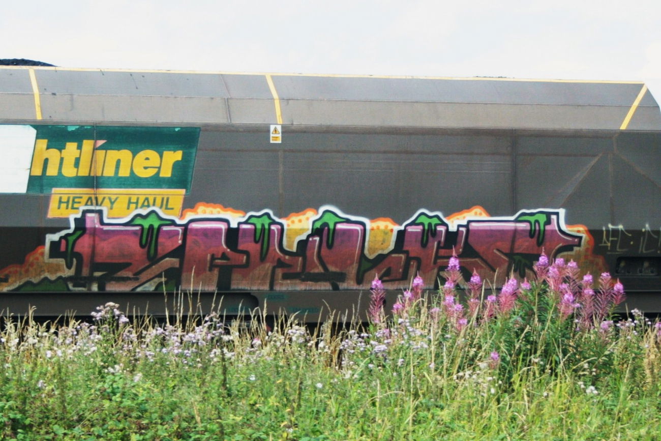Graffiti Train - Photo by troublefunk - frieght
