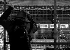 Photo #154354 by Soley