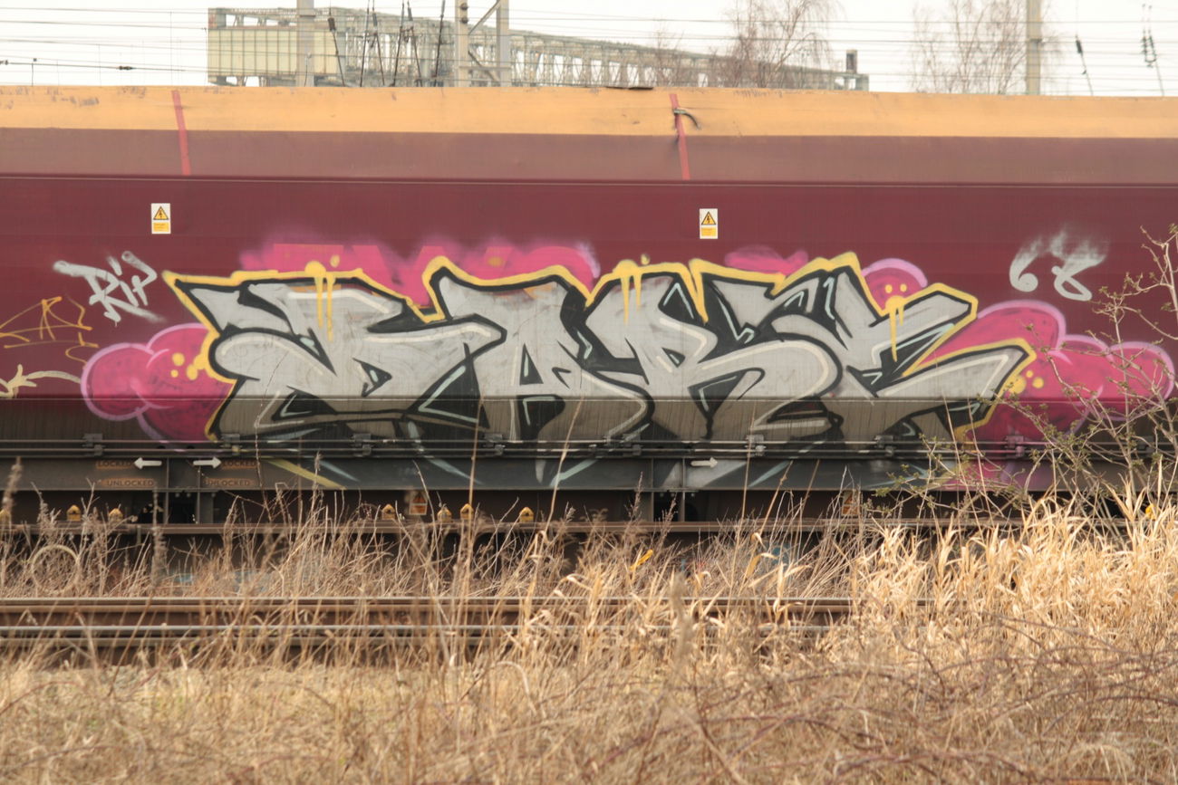 Graffiti Train - Photo by troublefunk - freight