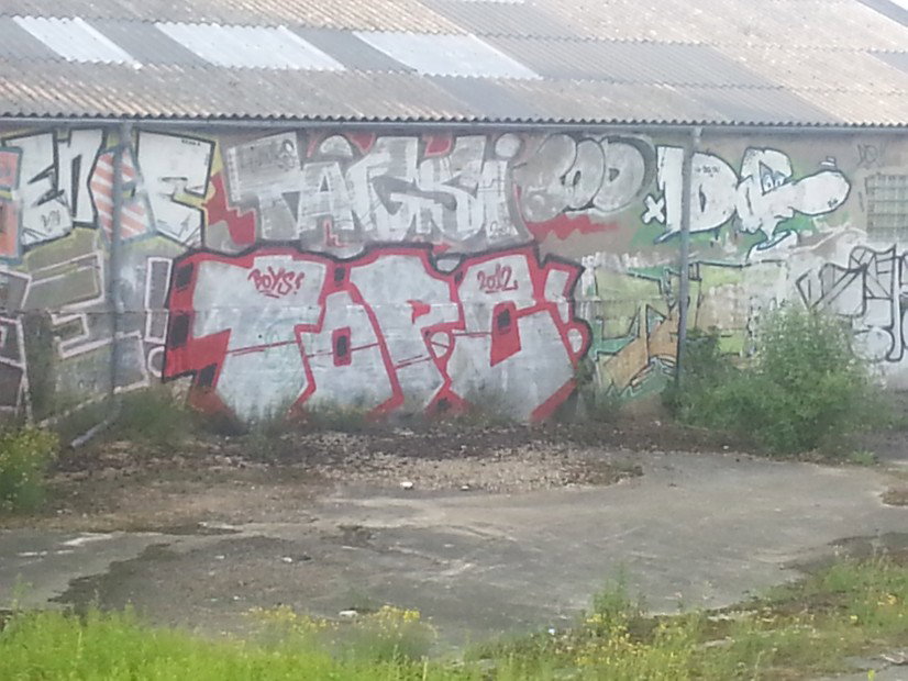 Graffiti Bombing in Münster - Photo by trustlifeOTR - top.c, tod, tagsi