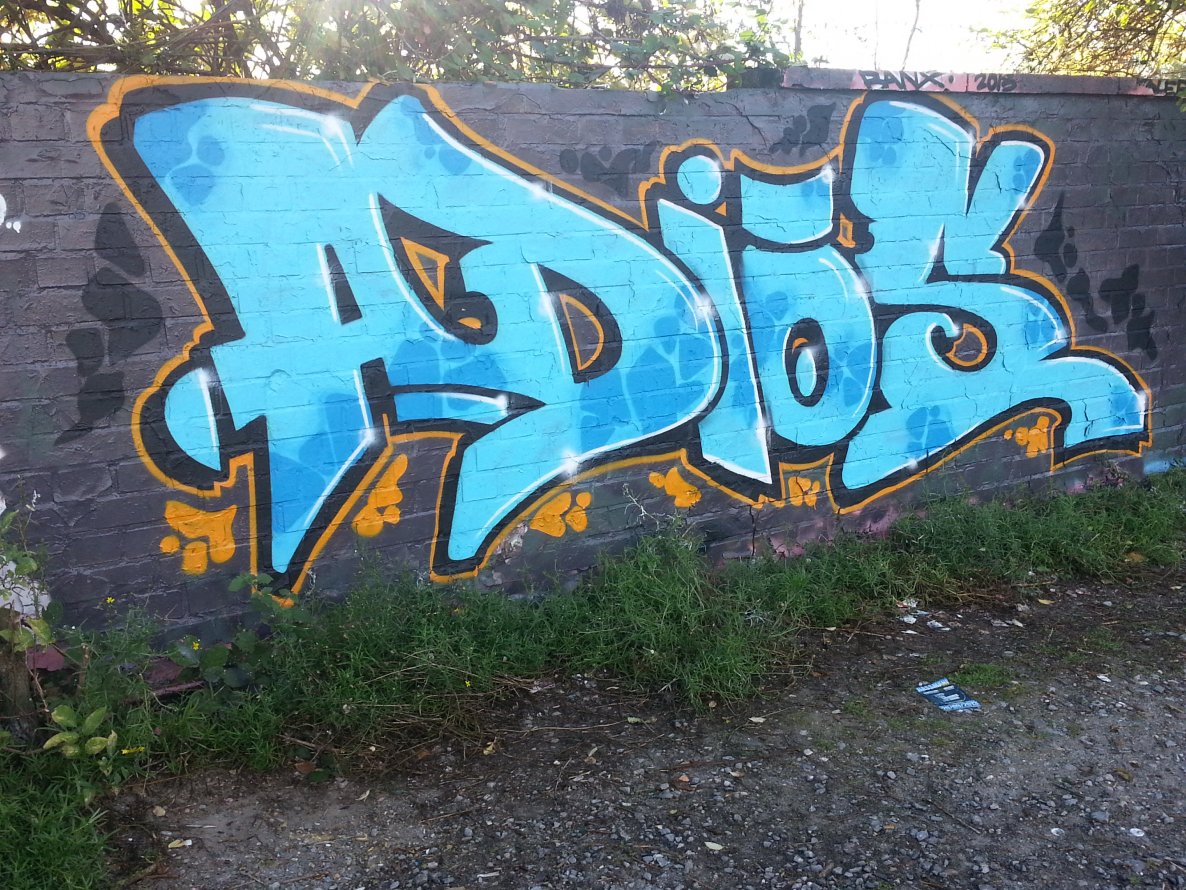 Graffiti Wall in Münster - Photo by trustlifeOTR - Adios (2013)