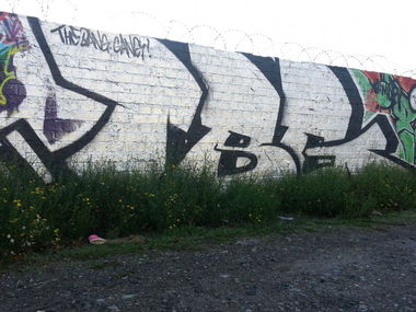 Graffiti Bombing in Münster - Photo by trustlifeOTR - Tbg (2013)