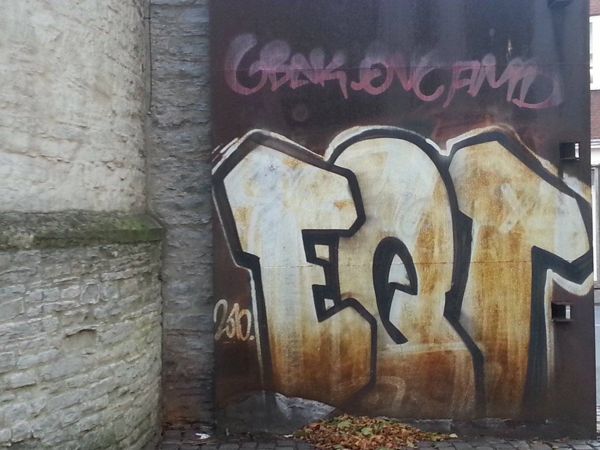 Graffiti Bombing in Münster - Photo by trustlifeOTR - eqt (2010)