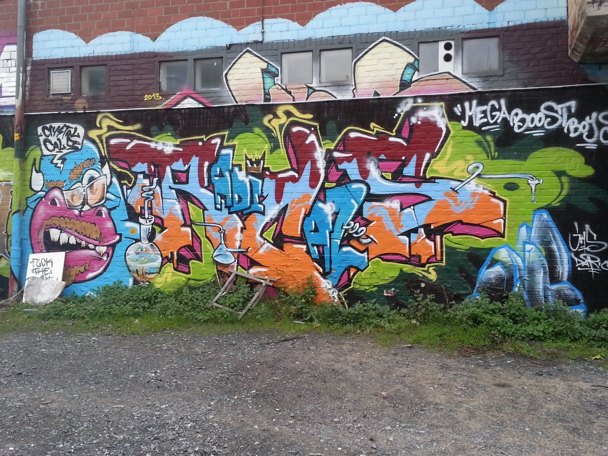 Graffiti Wall - Photo by trustlifeOTR - radicals (2013)