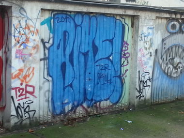 Graffiti Bombing in Münster - Photo by trustlifeOTR - rime, dias, skull (2012)