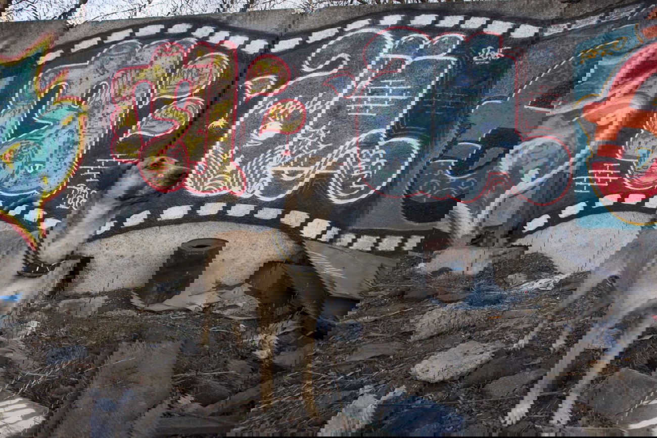 Graffiti Wall - Photo by tvae - Moscow, Russia (2015)