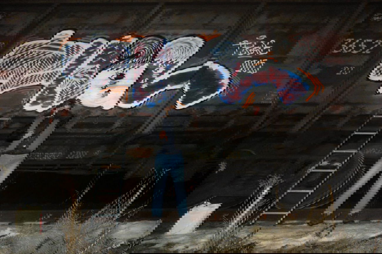 Graffiti Train - Photo by tvae - freight, moscow, russia (2015)