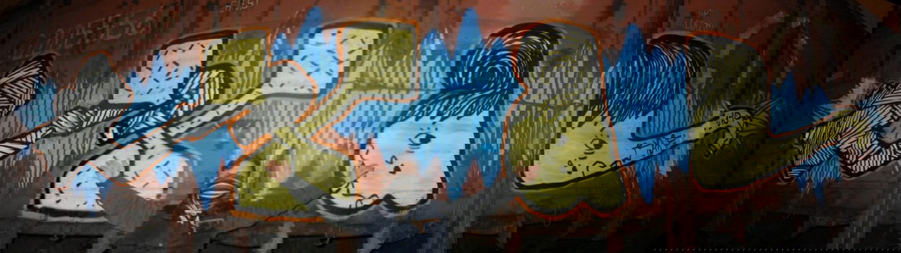 Graffiti Train - Photo by tvae - Moscow, Russia, Winter (2015)