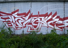 Photo #17719 by Sareodeka