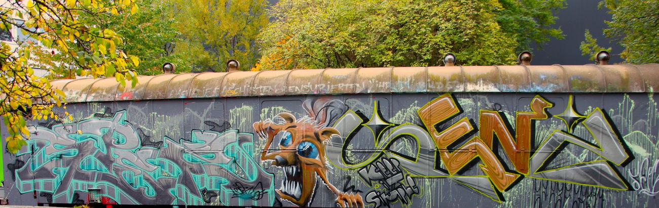 Graffiti Train - Photo by twak1