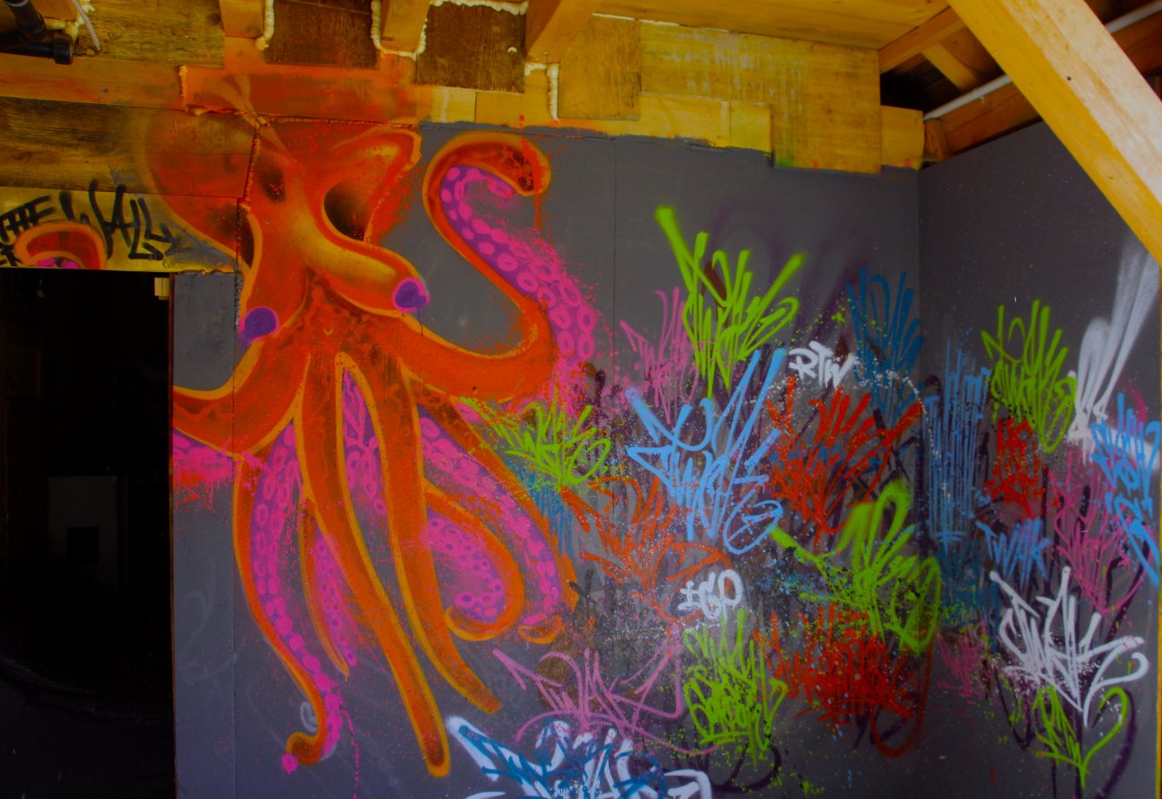 Graffiti Artwork - Photo by twak1