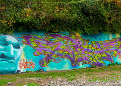 Photo #175426 by tostkopf