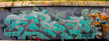 Graffiti Train - Photo by twak1