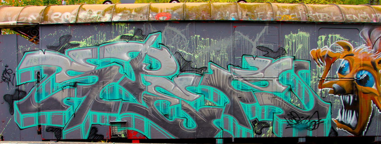 Graffiti Train - Photo by twak1