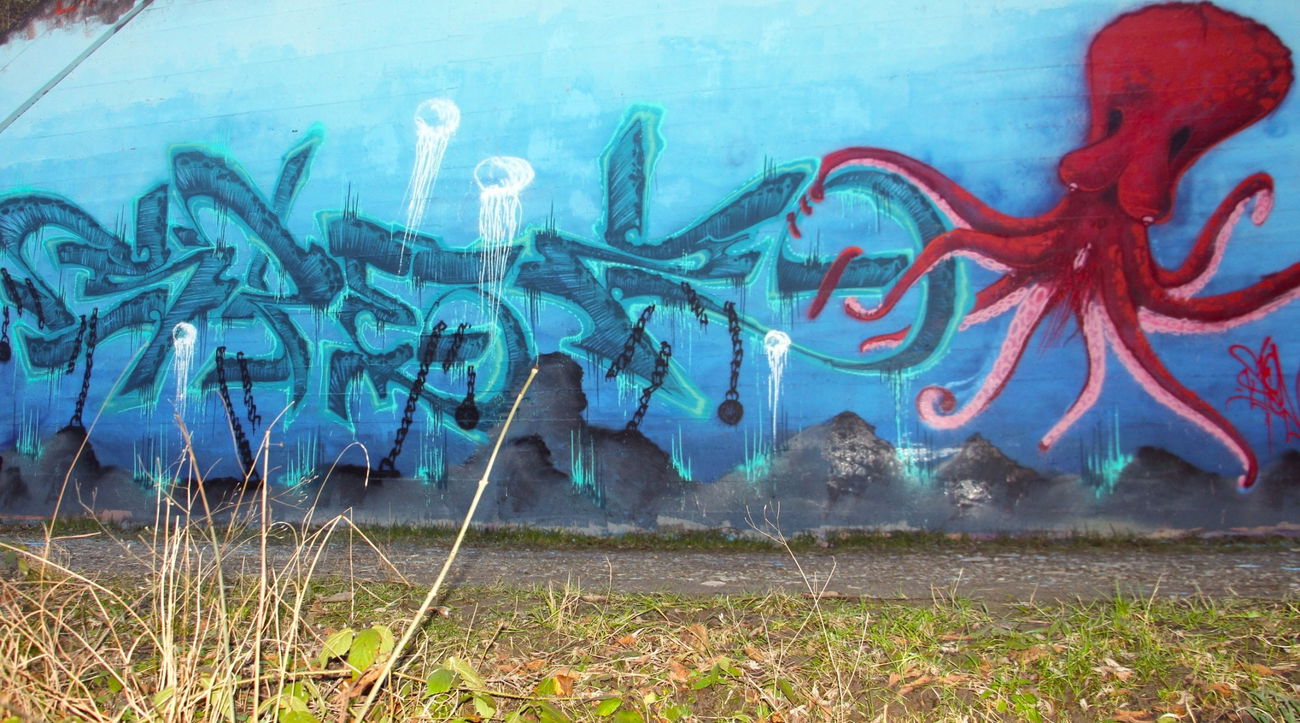 Graffiti Wall - Photo by twak1