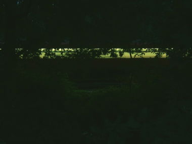 Graffiti Artwork in Virginia Water - Photo by twentyone - train, athmosphere (2013)