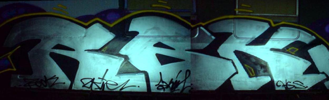 Graffiti Train - Photo by twokee - rbk, twokee, skim (2010)