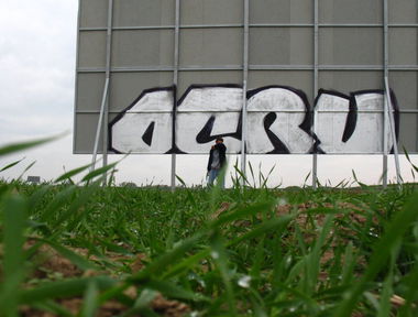 Graffiti Bombing - Photo by tymjanek