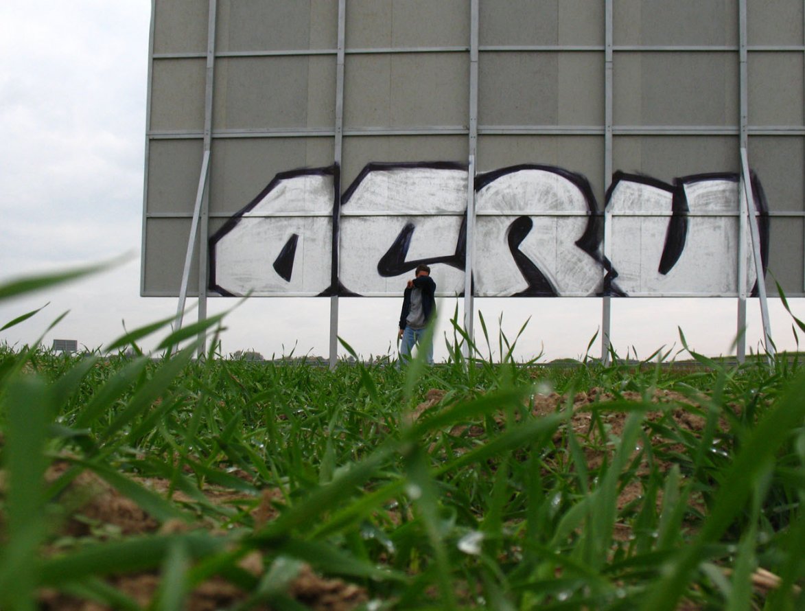 Graffiti Bombing - Photo by tymjanek