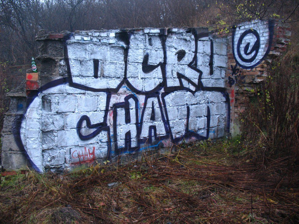 Graffiti Bombing - Photo by tymjanek (2013)