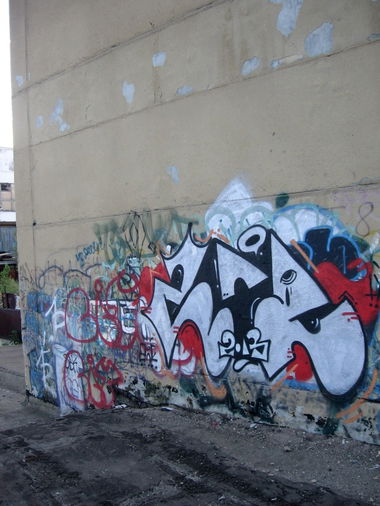 Graffiti Bombing - Photo by tyne