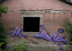 Photo #15412 by Belt