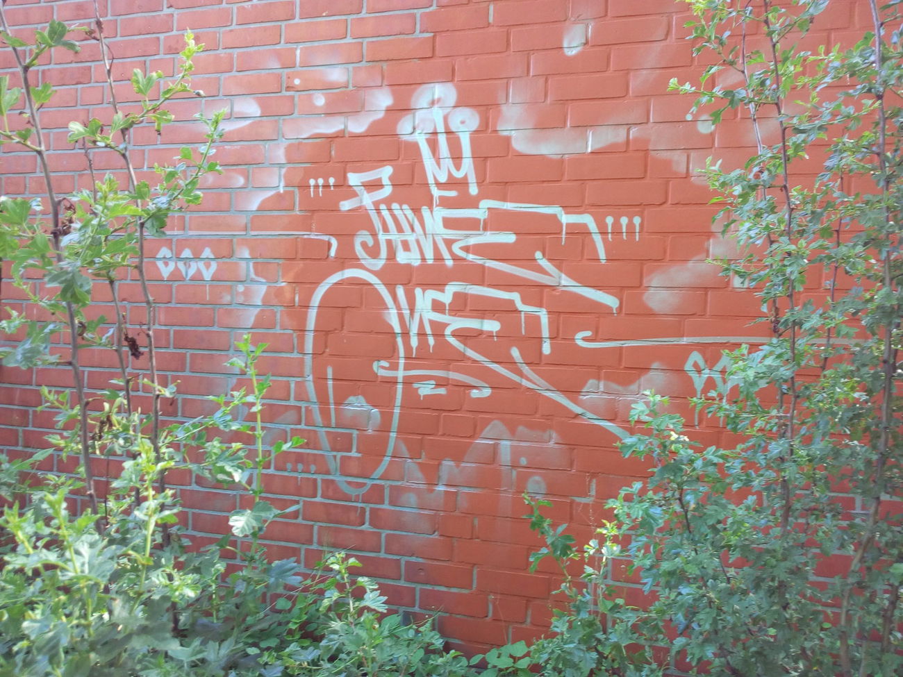 Graffiti Wall - Photo by ulica - pane, d.b.r (2017)