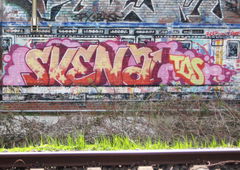 Photo #158636 by bocat