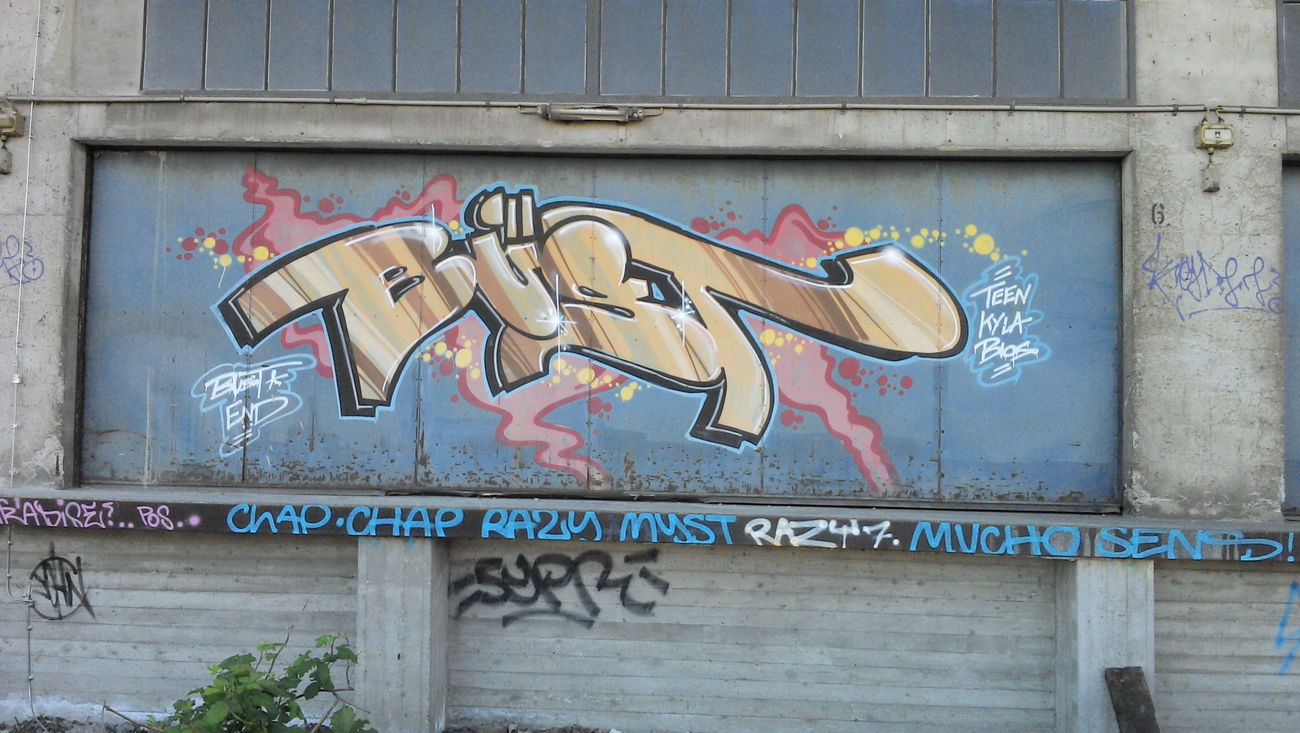 Graffiti Wall - Photo by ultramarinblau - bust