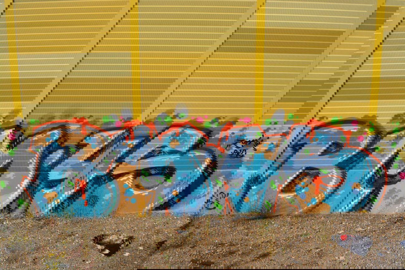 Graffiti Bombing in Leipzig - Photo by undecided (2013)