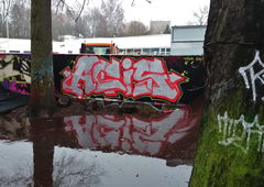 Photo #52340 by INTRIGEYOAR