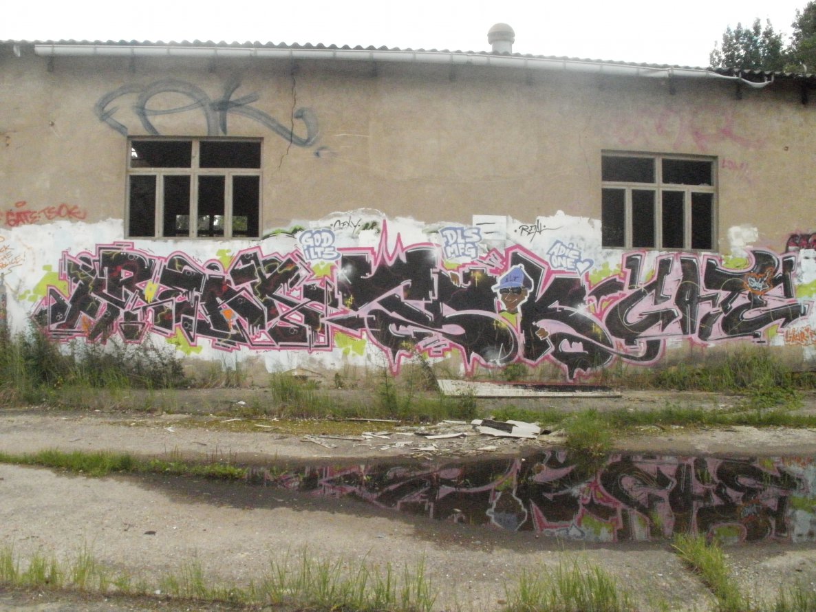 Graffiti Wall - Photo by unknown - freak, tsok, gate (2010)