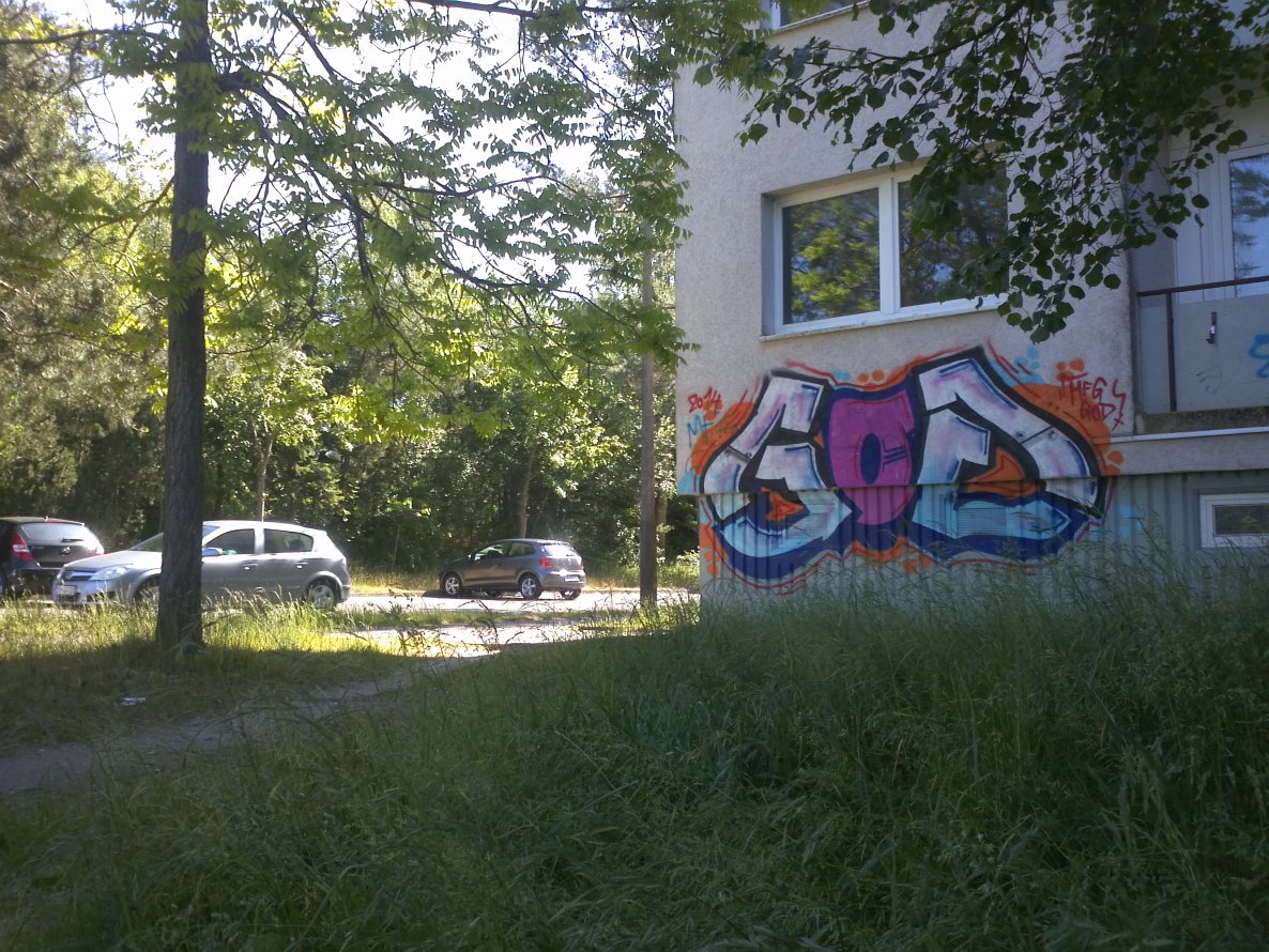 Graffiti Bombing - Photo by unknown - god, mfg (2014)