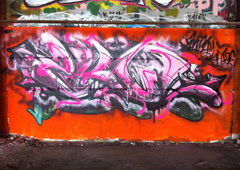 Photo #81513 by TagHagel