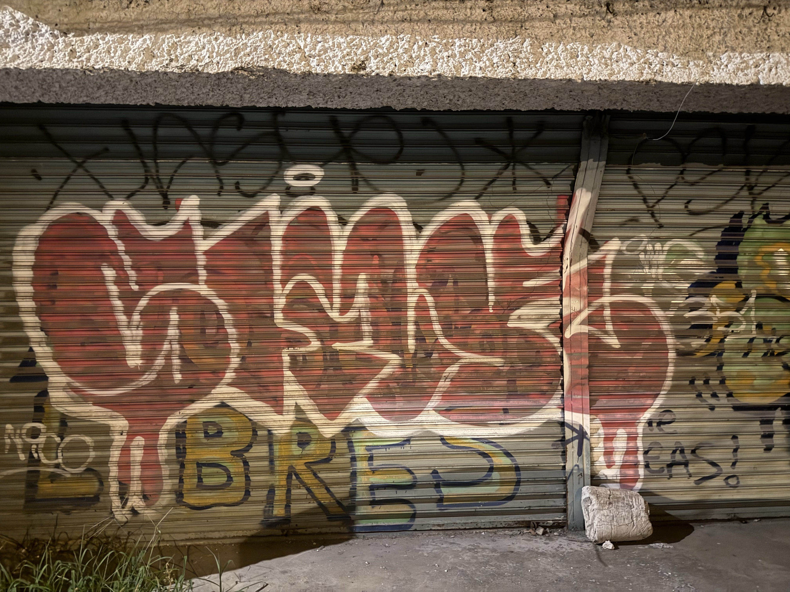 Graffiti Bombing in Mérida - Photo by user18372