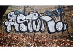 Photo #175188 by MENO