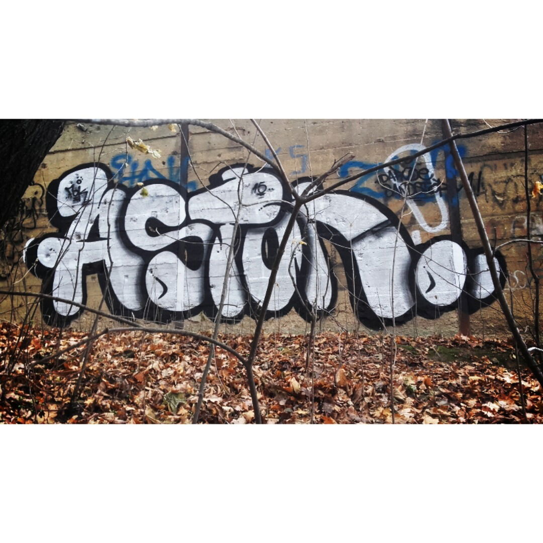 Graffiti Wall - Photo by uzytkownik - aston, fck (2015)