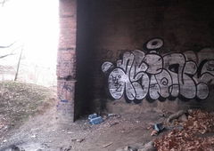 Photo #175970 by MENO