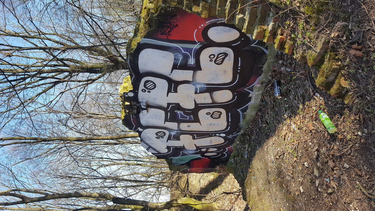 Graffiti Bombing - Photo by uzytkownik - Fc (2017)