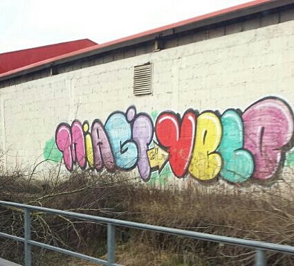 Graffiti Bombing - Photo by vaGina - Velo, Miagi (2011)