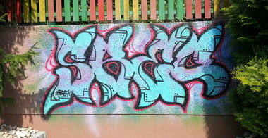 Graffiti Bombing - Photo by vaGina - SBEC