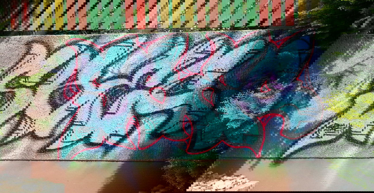 Graffiti Bombing - Photo by vaGina - SBEC